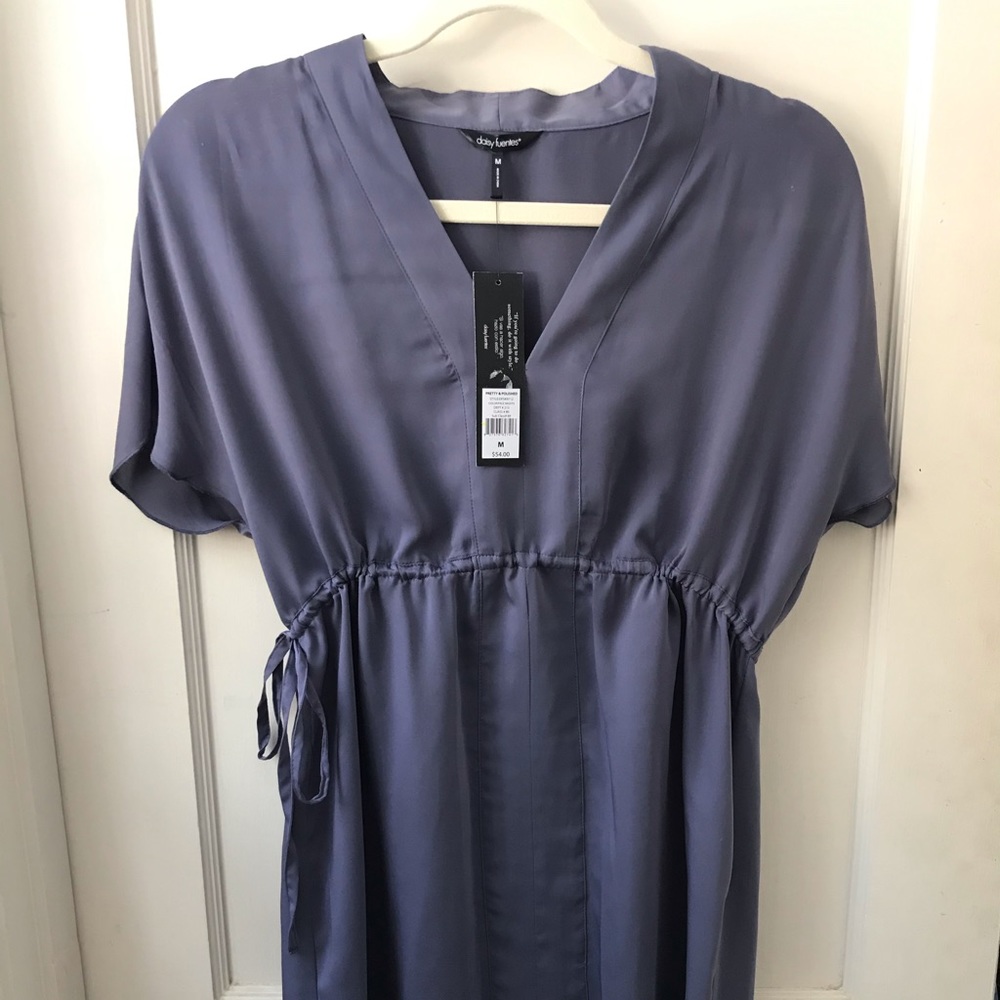 Daisy Fuentes Dress
